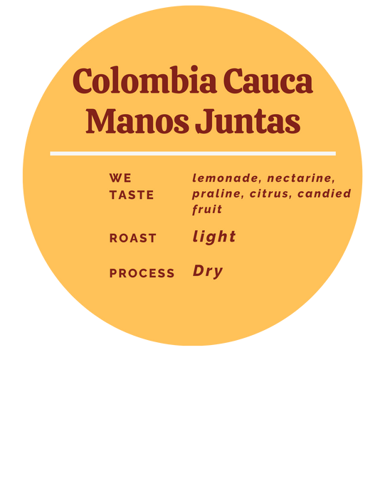 Colombia Cauca Manos Juntas