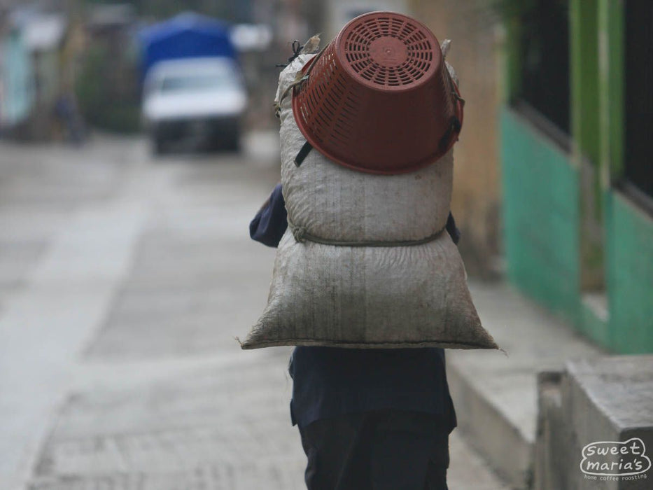 Mexico Chiapas Villa Corzo