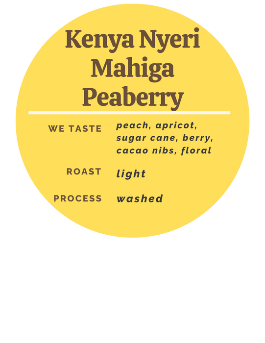 Kenya Nyeri Mahiga Peaberry