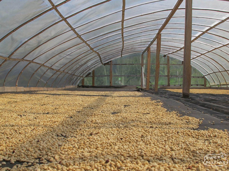 Colombia Inza Veredas