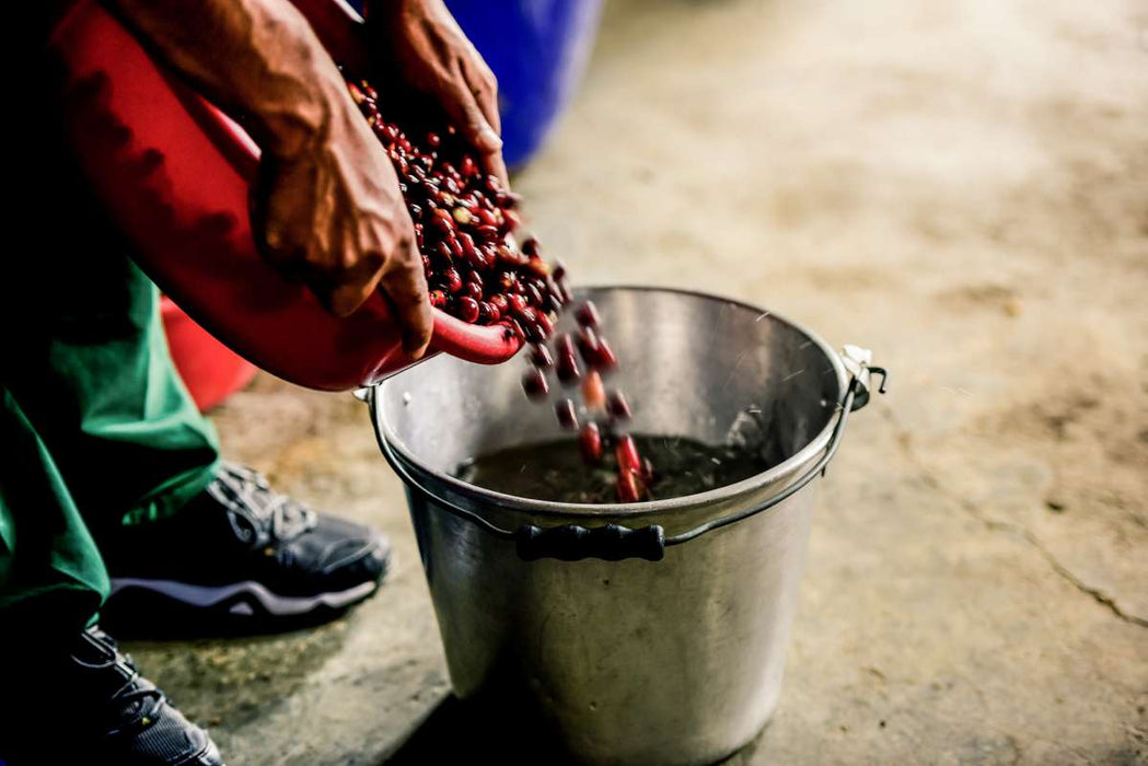 Colombia Cauca Manos Juntas